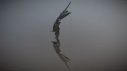 Bow