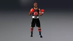 BOXER