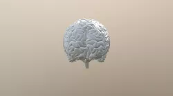 Brain Explode