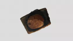 Bread
