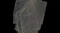 Brown-Wardle-site-untx