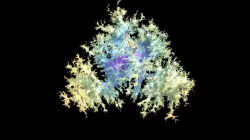 Brownian Map 1M