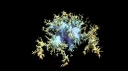 Brownian Map 300k