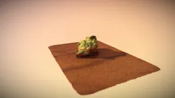 Bud