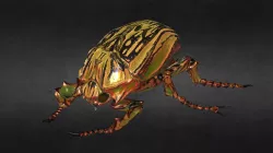 bug