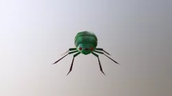 Bug