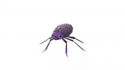 Bug - Finished