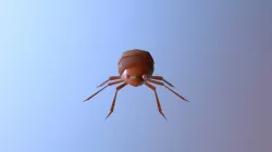 BUG