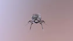 Bug Redo!