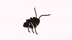 Bug5