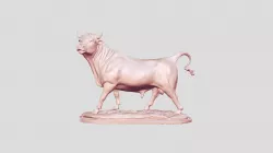 bull
