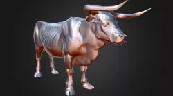 Bull antic