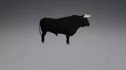 Bull