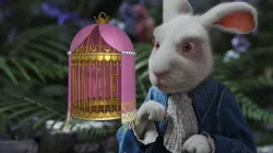 Bunny Cage