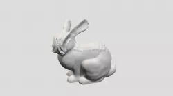 Bunny