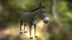 Burro