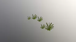 Bushes2