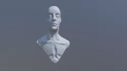 Bust