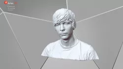 Bust