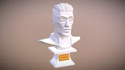 Bust Model