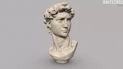 Bust of David - 3D Scan
