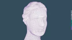 Bust (Quads) — ReMake Review