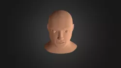 Cabeça humana