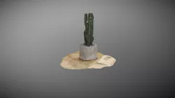 Cactus 3D