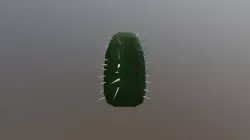 Cactus