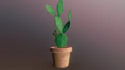 Cactus model