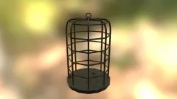 Cage #2