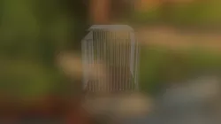 Cage Wagom