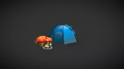 Camping