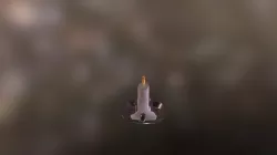 Candle