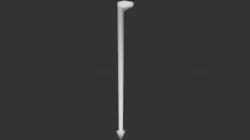 Cane