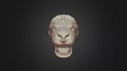 Canid