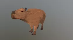 Capybara