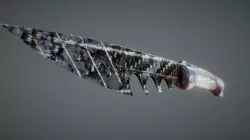 Carbon Fiber Knife