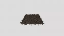 Carpet