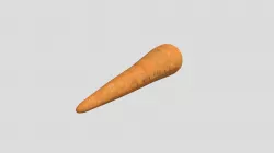 Carrot