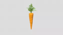 Carrot
