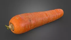 Carrot