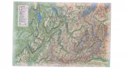 Carto Dx Oa BIS
