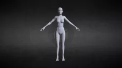 Cartoon Body
