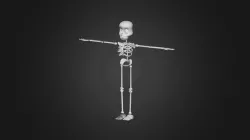 Cartoon skeleton model