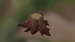 Cartoon Tree Stump