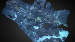 CAS Philippine Tank coral reef test 1