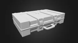 Case
