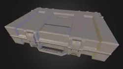 Case