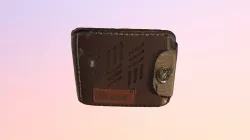 Case